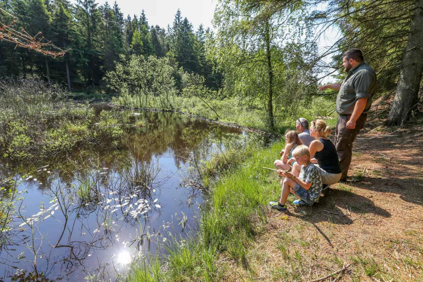 Bæverformidling i Klosterheden