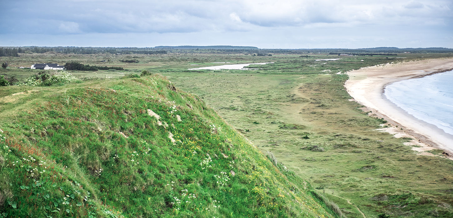 Svinklovene Jammerbugt