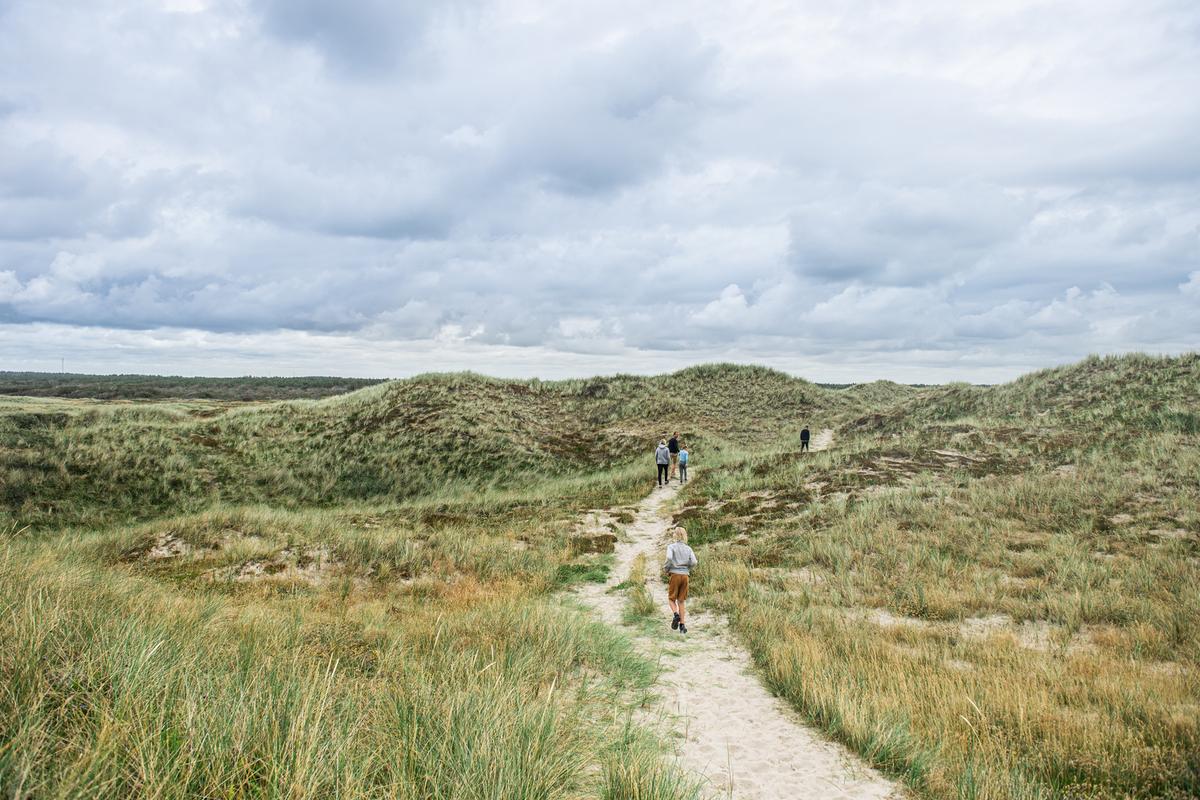 Husby Klitplantage Ruten