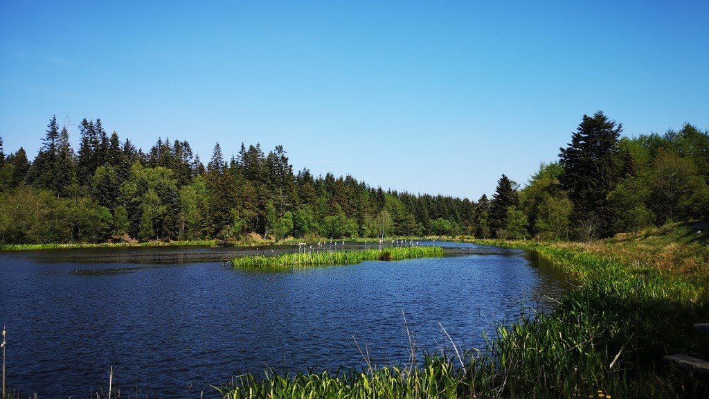 Klosterheden Plantage