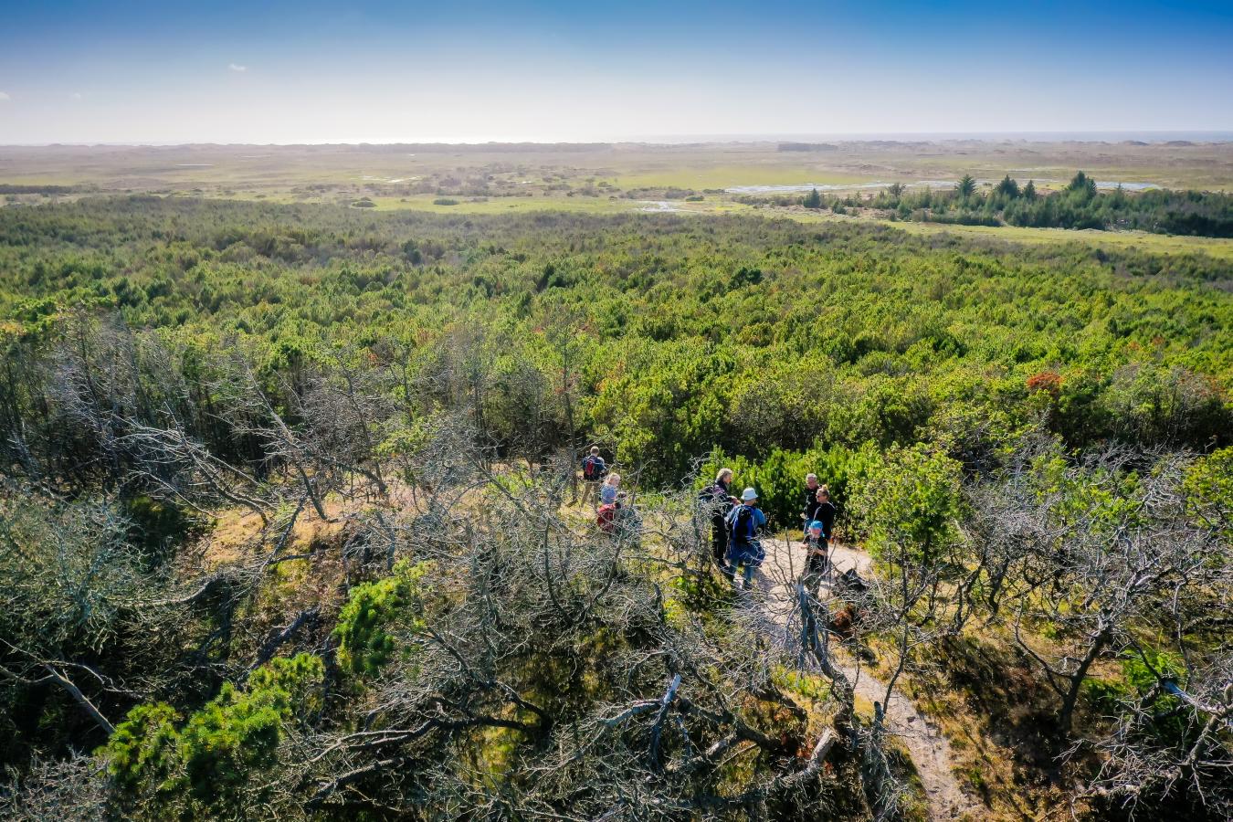 Vandring i Nationalpark Thy