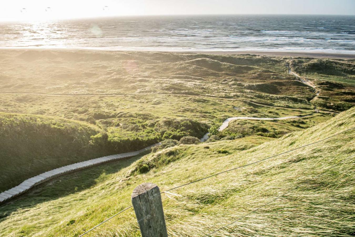 Sti_Kystsporet_Svinklovene