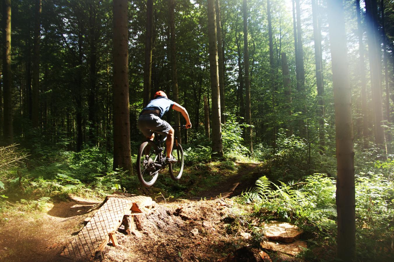 Mountainbike i skoven