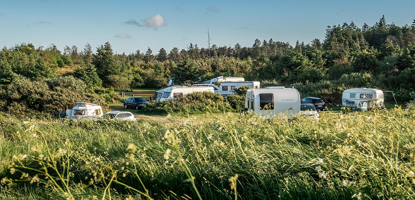 Svinkløv camping