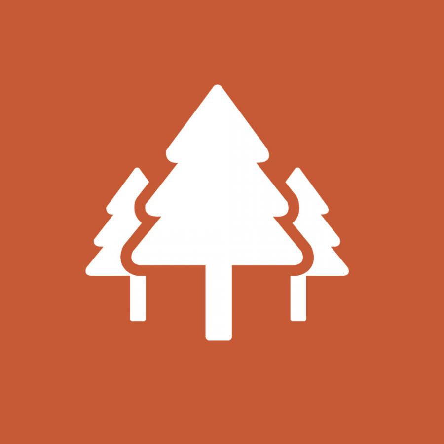 Highlights-ikon-kystsporet