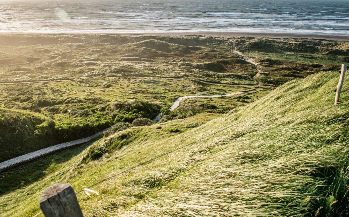 Svinklovene og vesterhavet