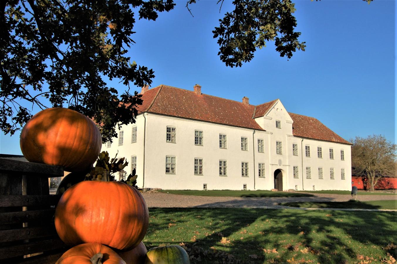Græskar ved Børglum Kloster