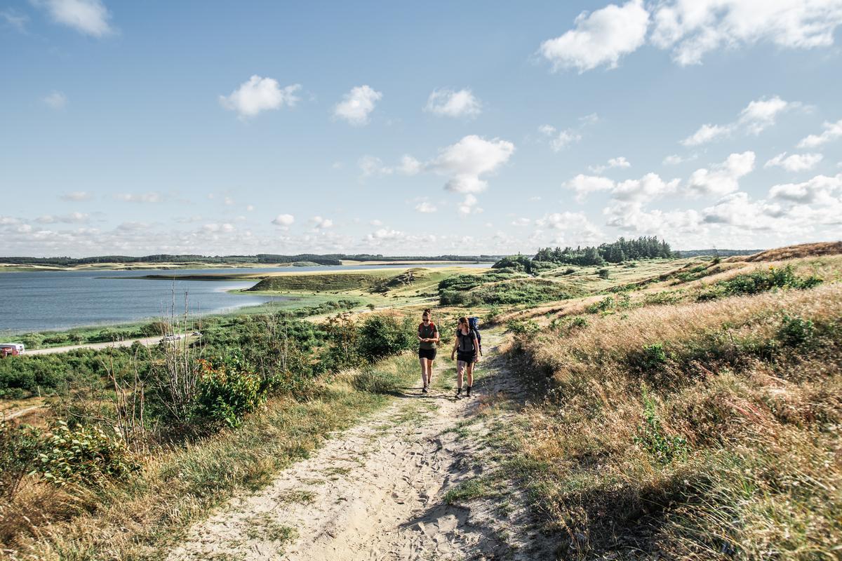 Isbjerg og Hanstholm Vildtreservat