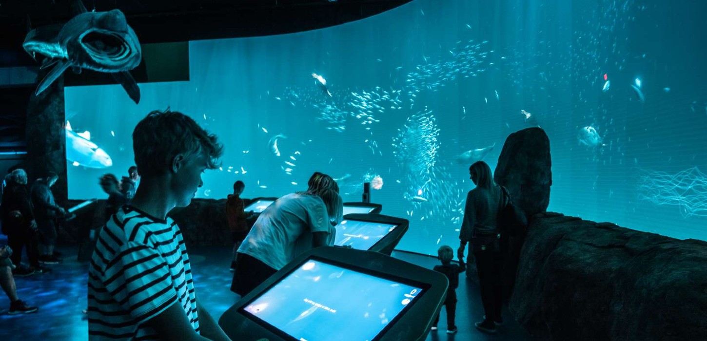 Nordsøen Oceanarium