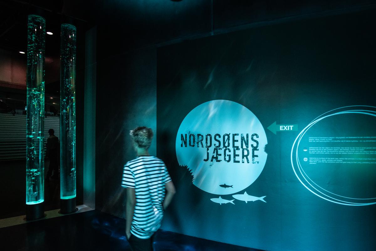 Dreng på Nordsøen Oceanarium