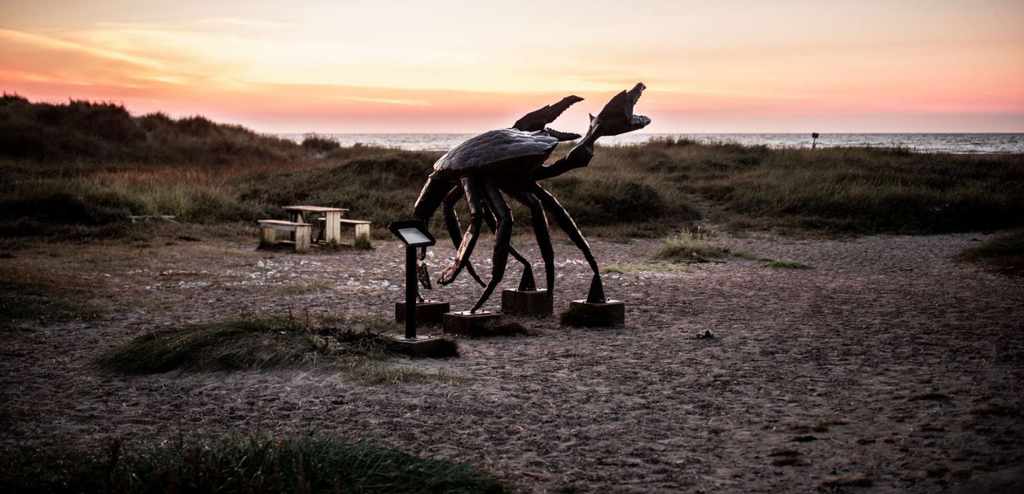 Krabben Slettestrand