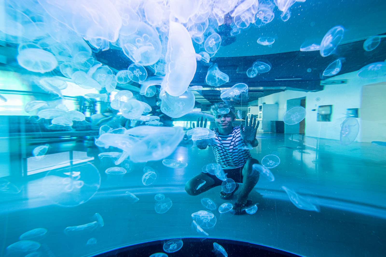 Nordsøen Oceanarium, Hirtshals