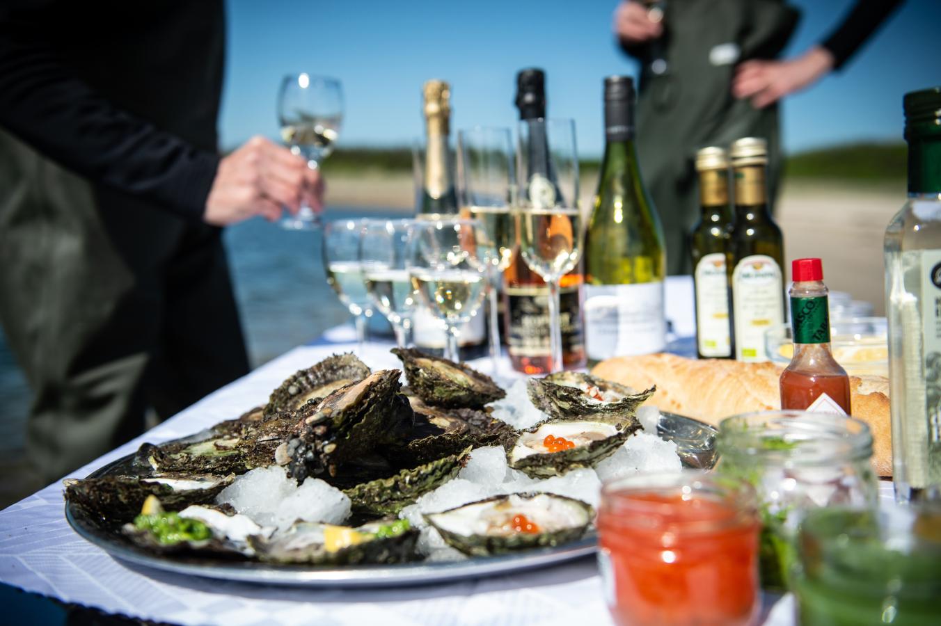 Østerssafari med Jyllandsakvariet