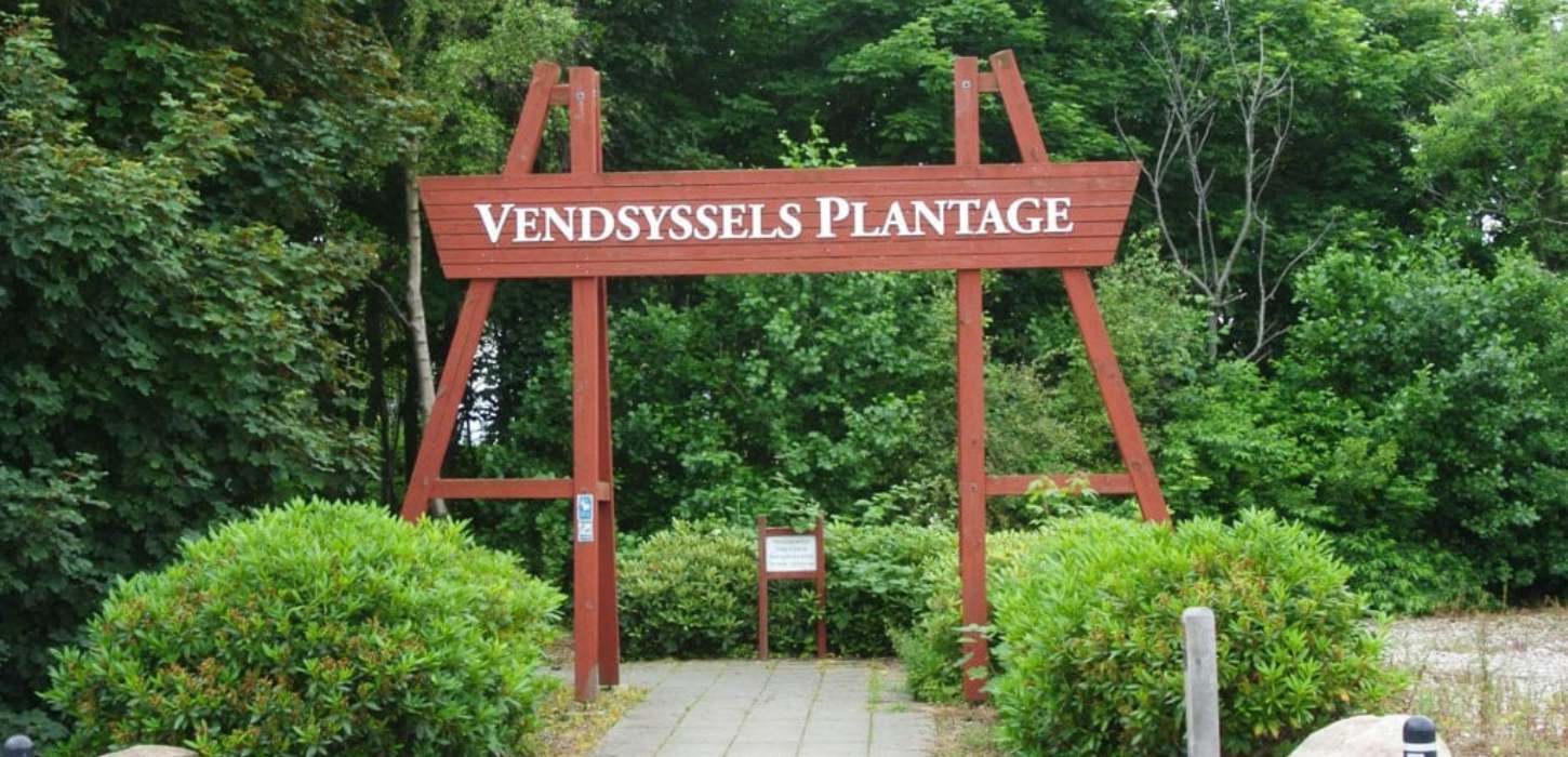 Vendsyssel Plantage, Løkken
