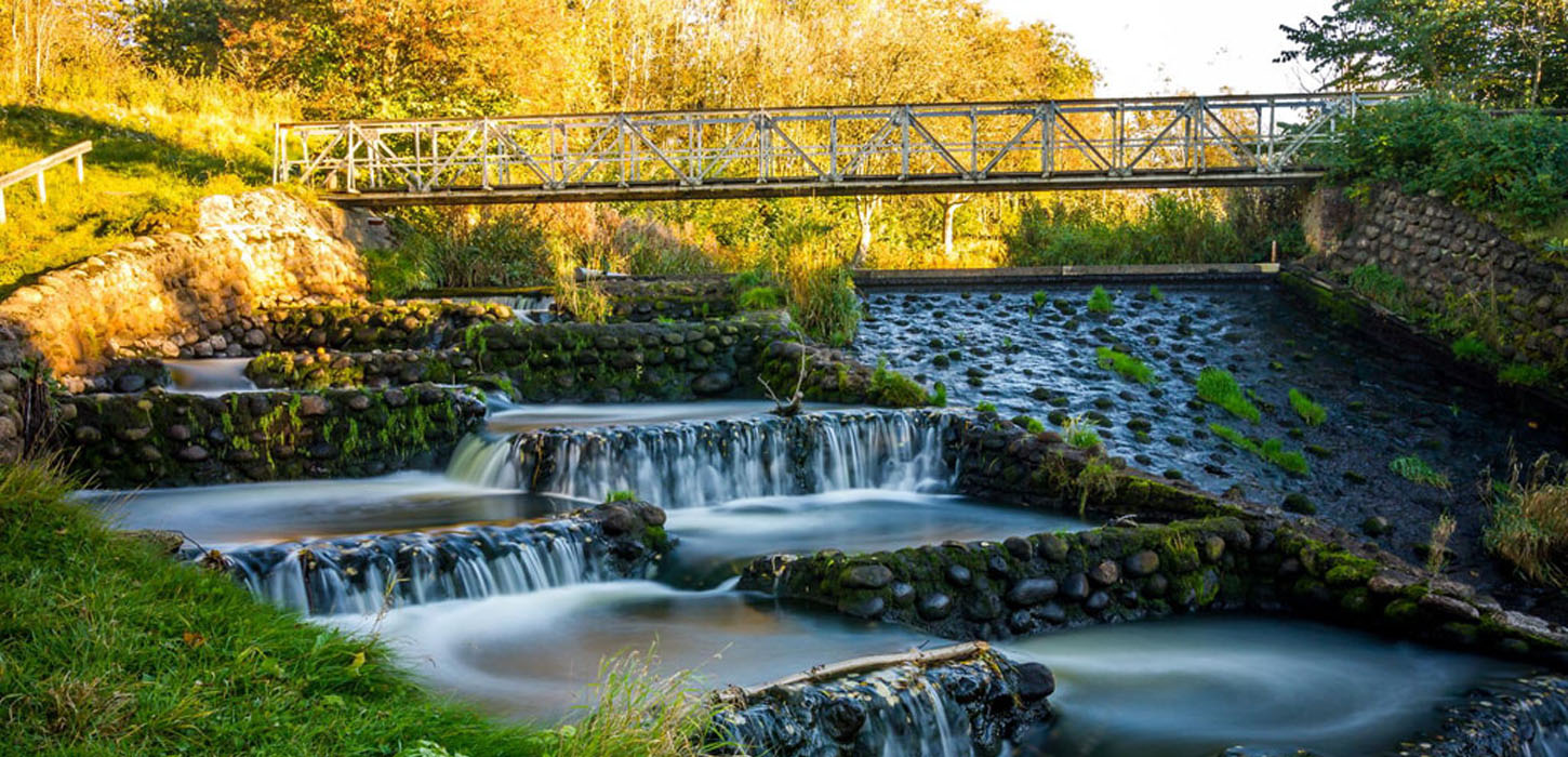 Bindslev, fisketrappen, natur