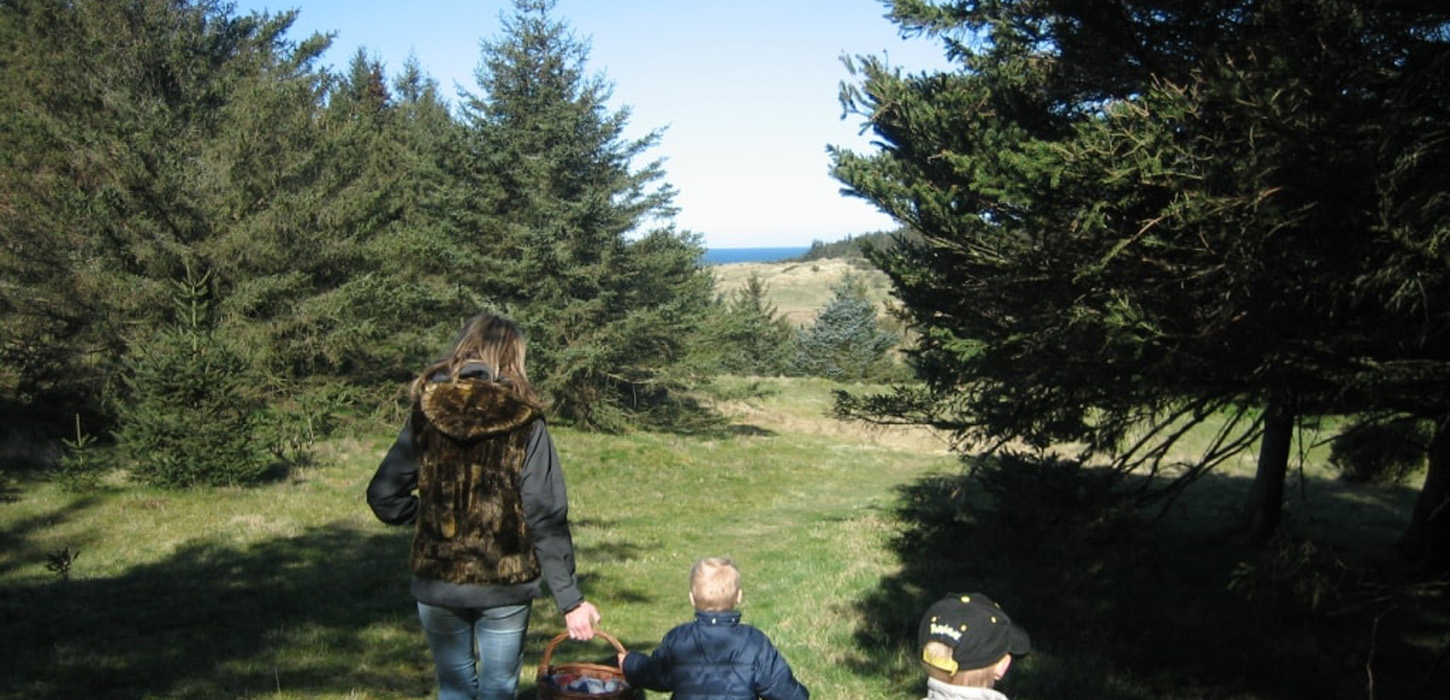 Lille Norge, Blokhus, Løkken