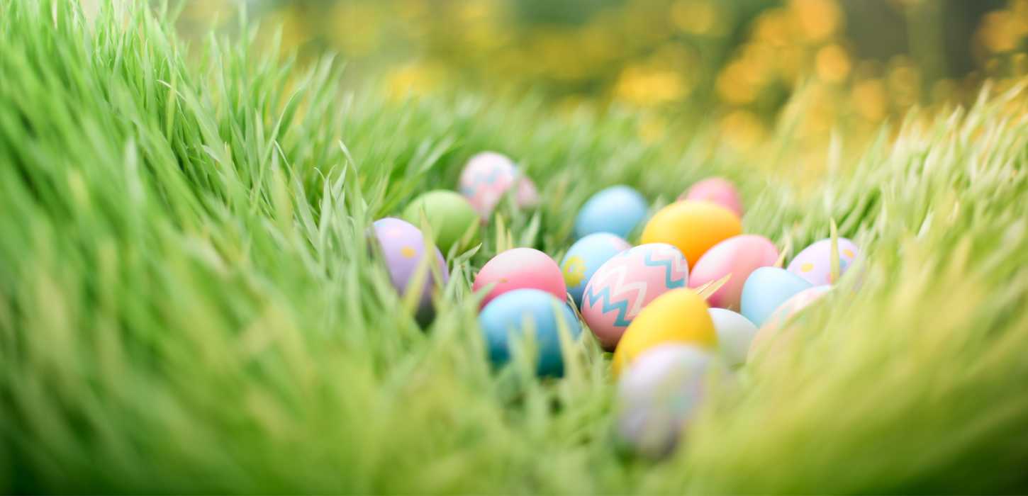 Påskejagt i Hawskoven 