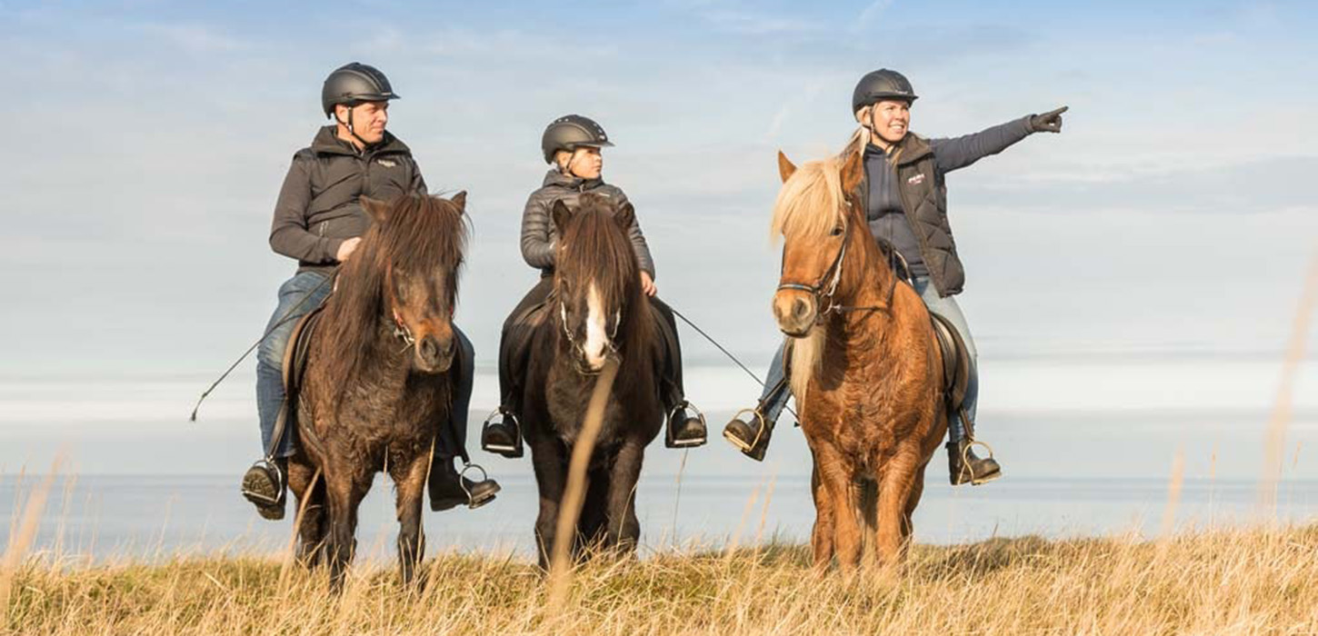 Ridetur, Fårup, Fårup Sommerland, Hest