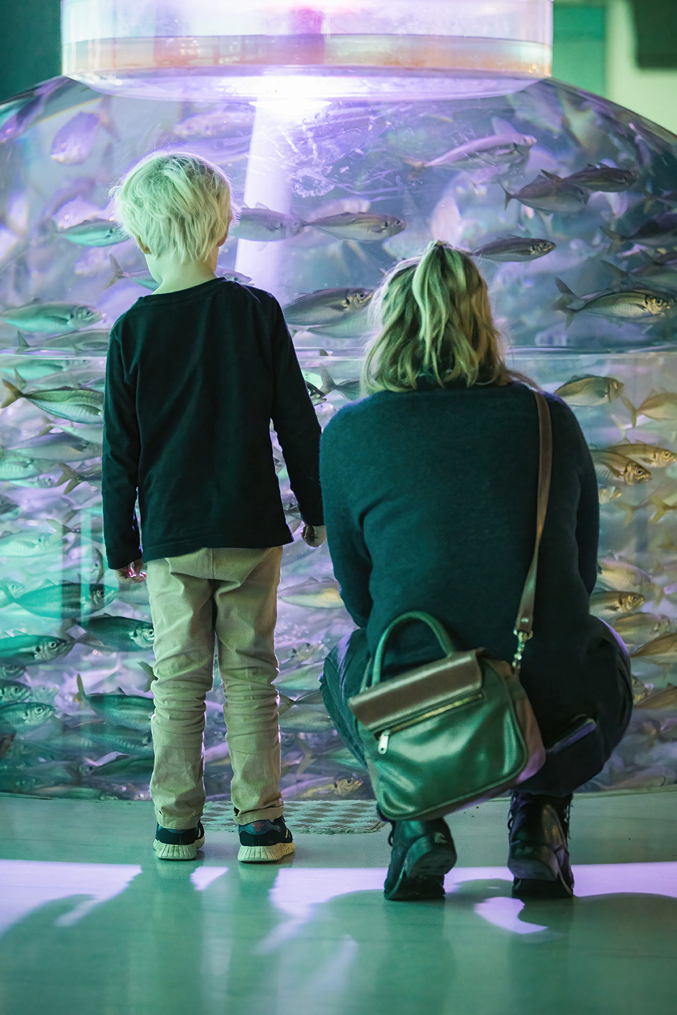 Nordsøen Oceanarium