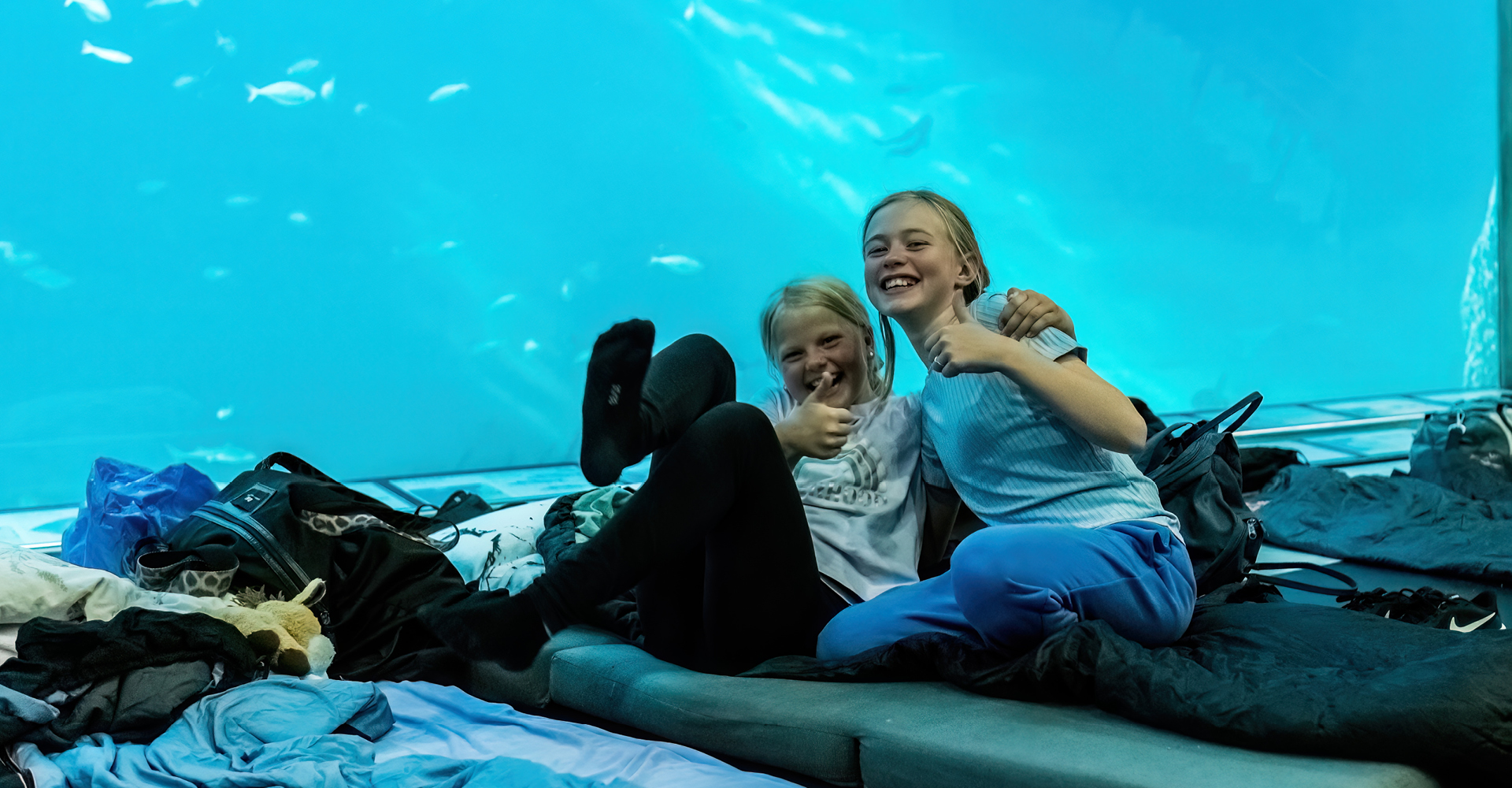 Sov med klumpfiskene 