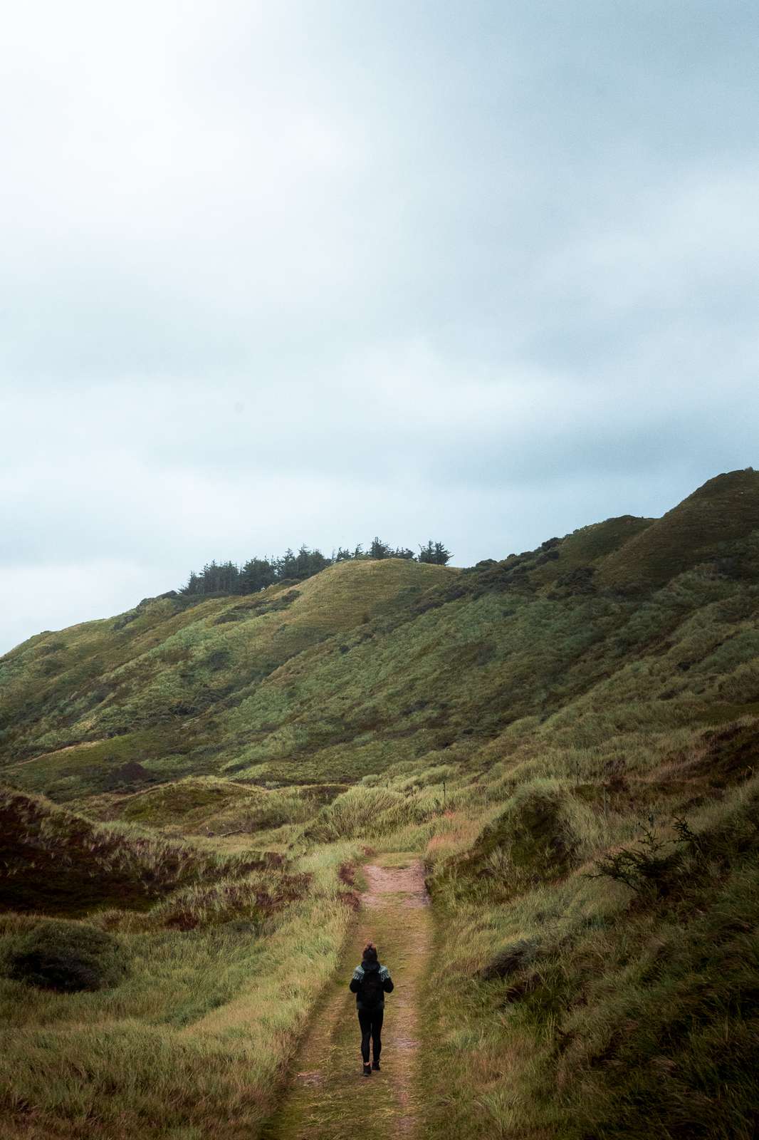 Svinkløveren vandresti