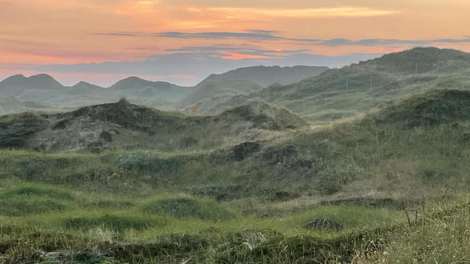 Rødhus Klit Camping_klitter_natur