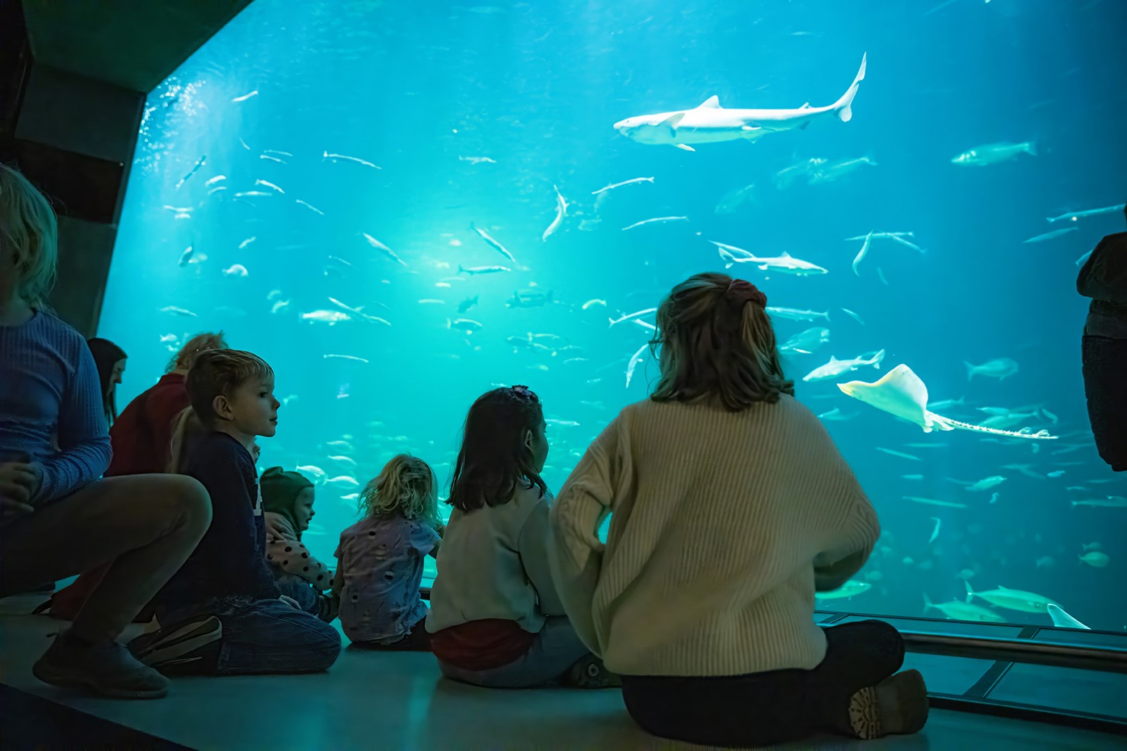 Nordsøen Oceanarium - Oceanariet