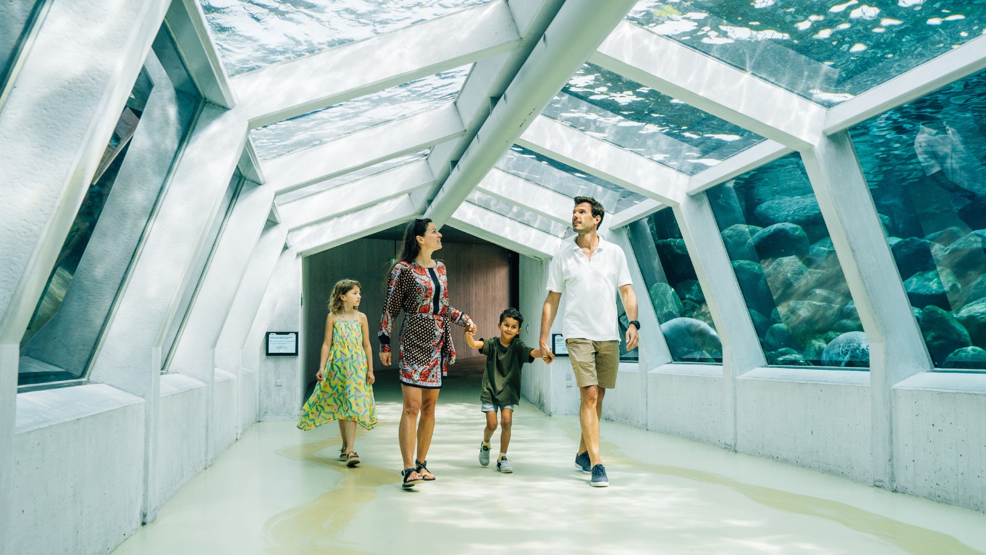 Nordsøen Oceanarium - Sæl-tunnel