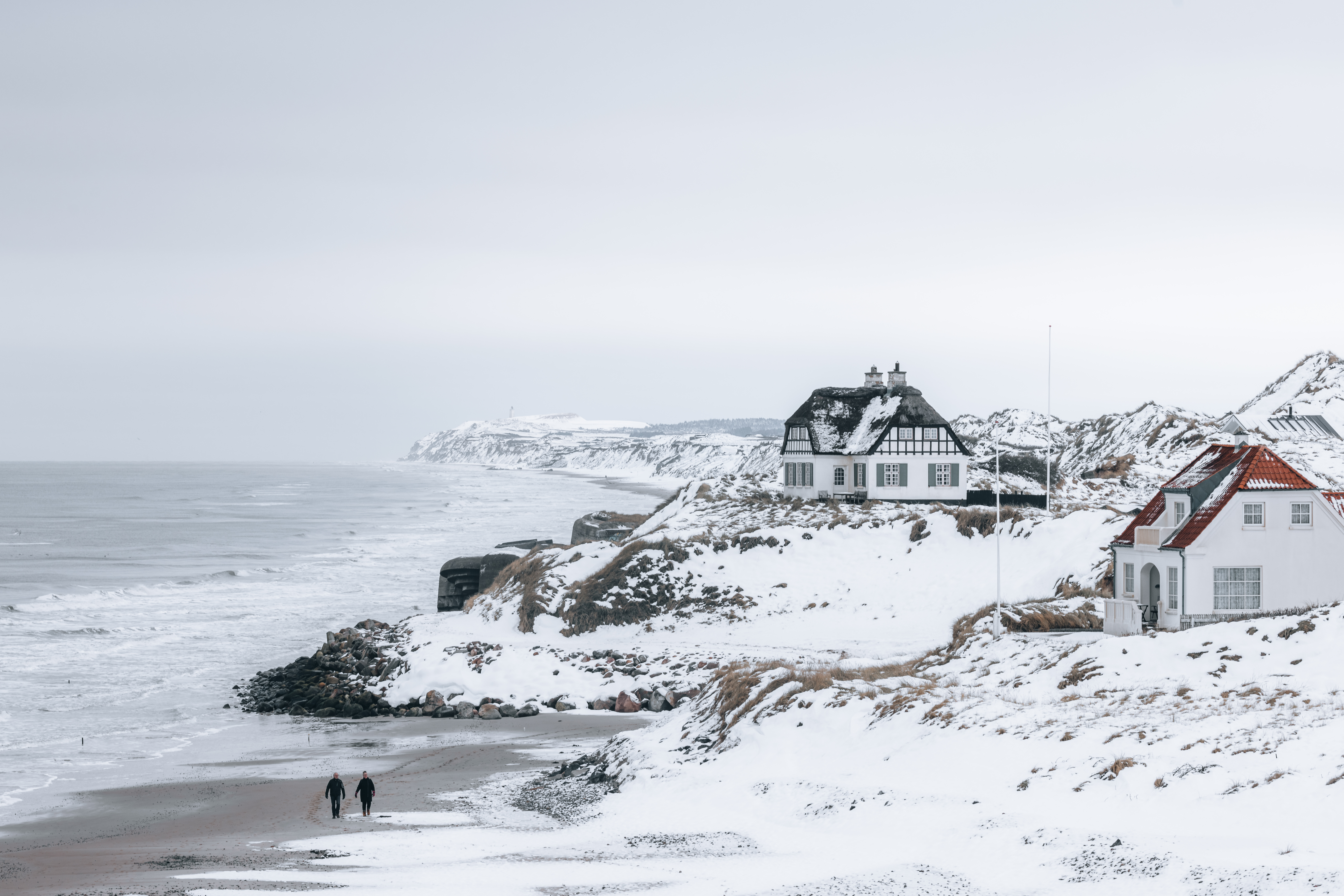 Blånæs i vinterlandskab