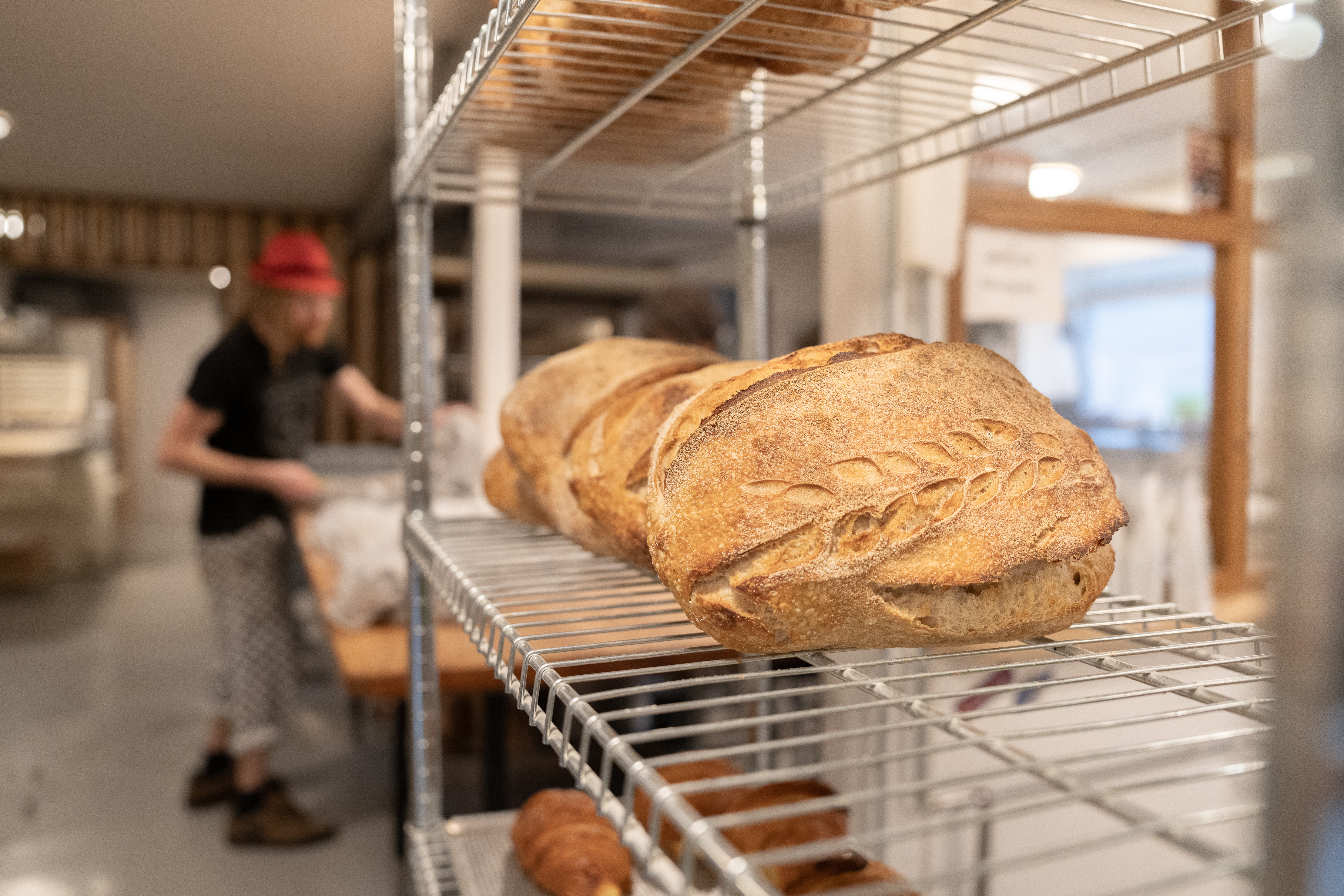 The Rusty Elephant_surdejsbrød_Paddy