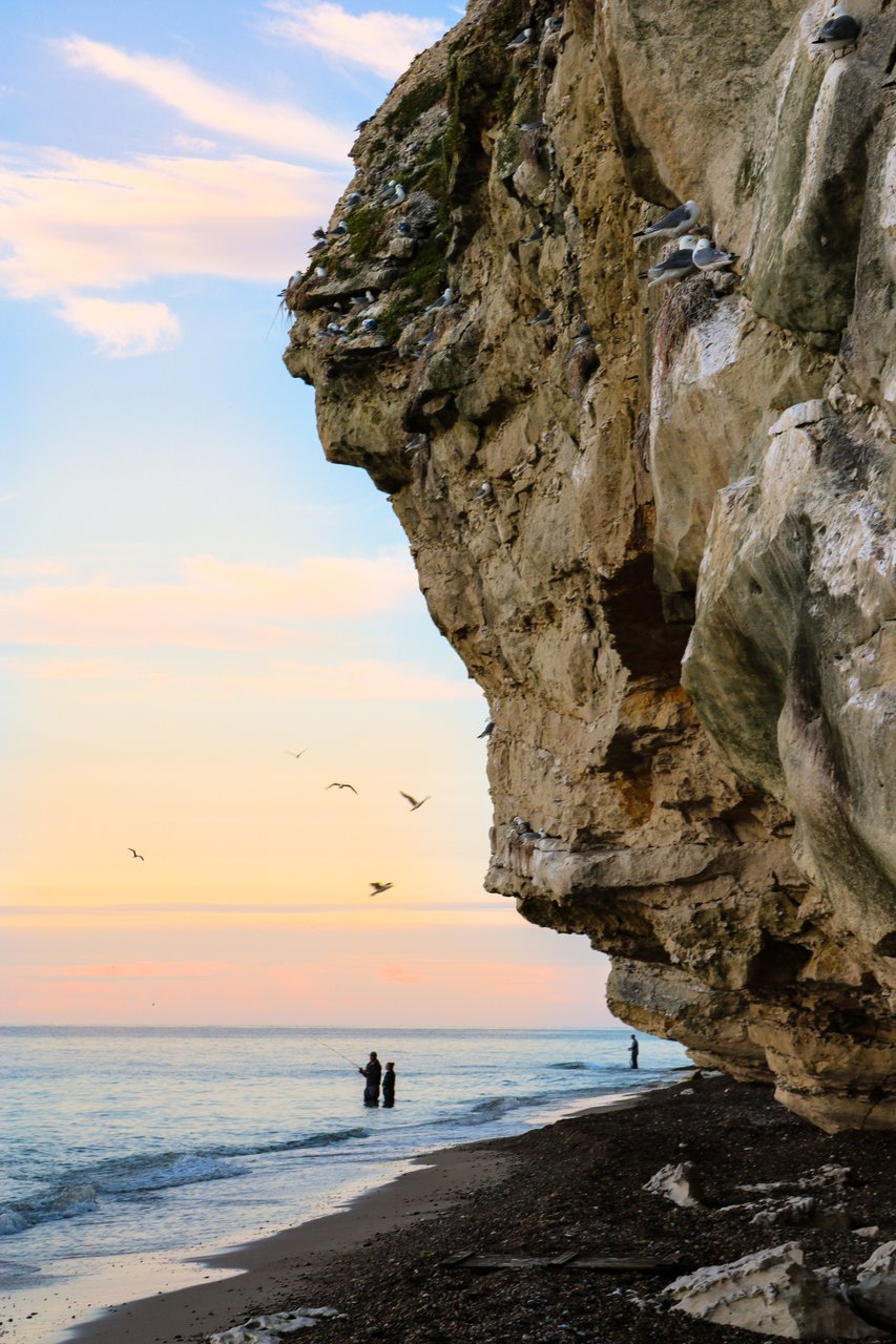 Bulbjerg_fiskeri_natur