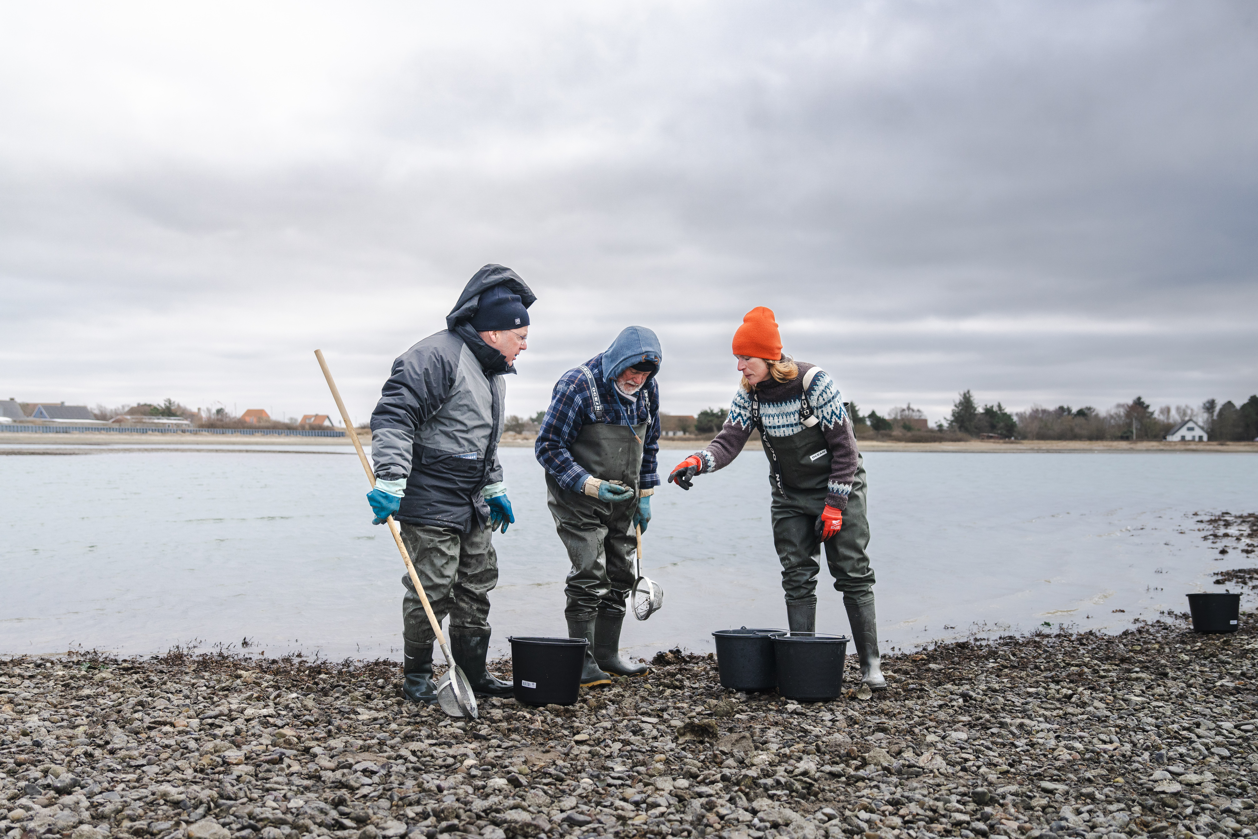Østerssafari med Jyllandsakvariet