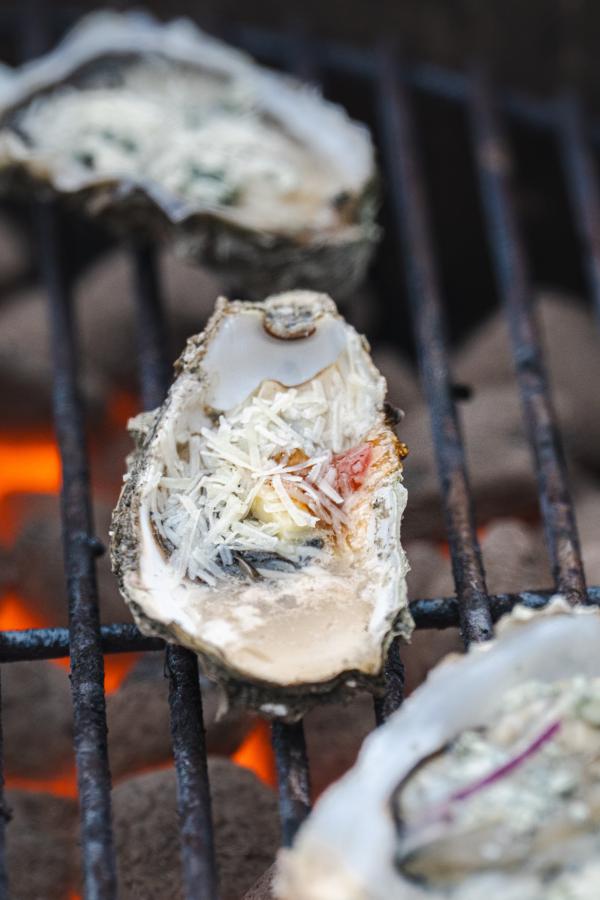 Østerssafari Thyborøn