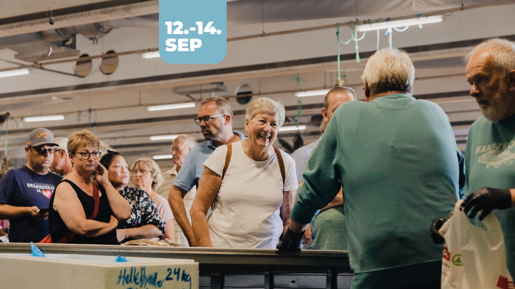 Hook & Cook_Fisken på disken_2025