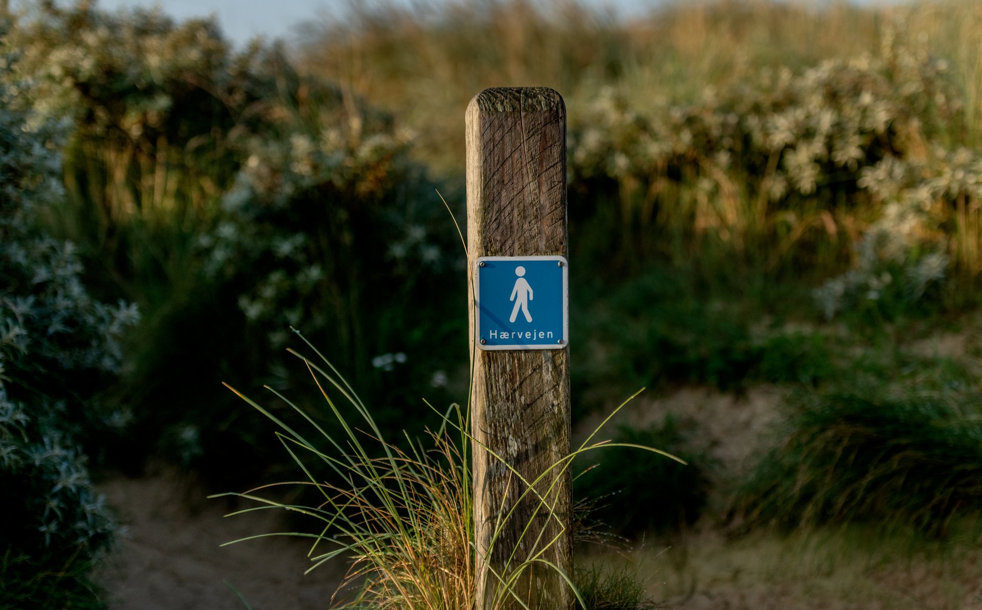 Hærvejen_vandrerute