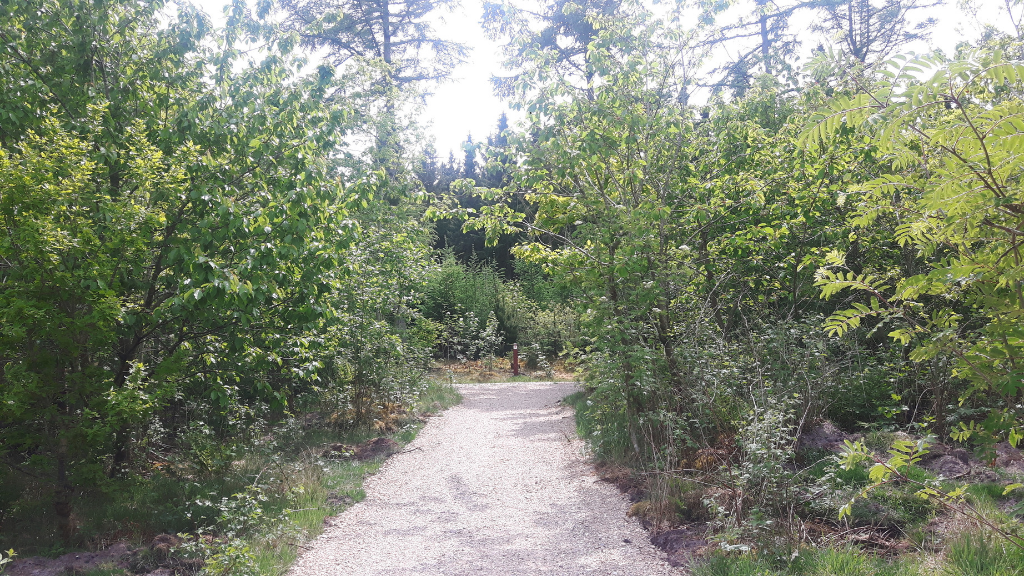 Hjertestien i Ulfborg