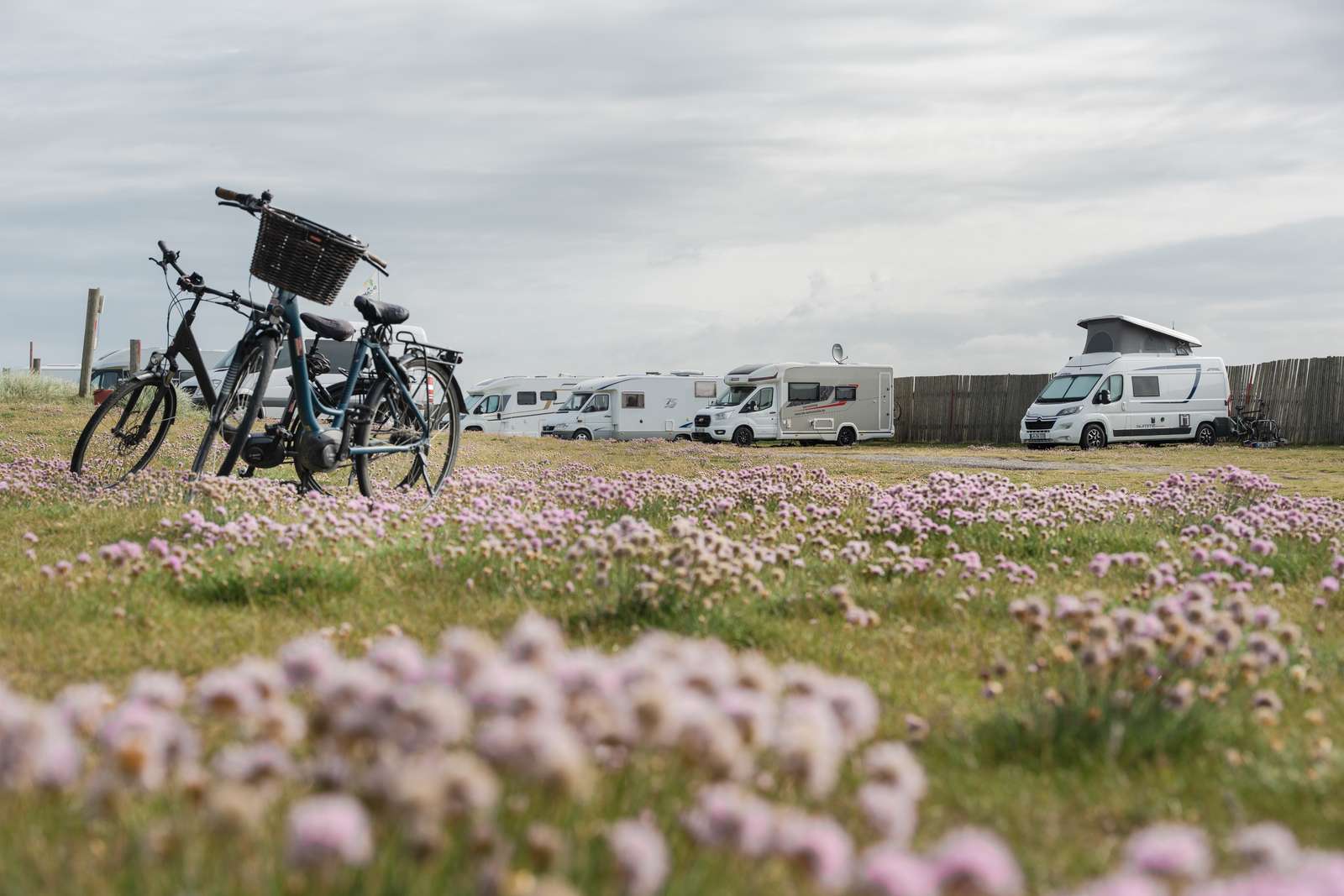 Kulturoplevelser WOW