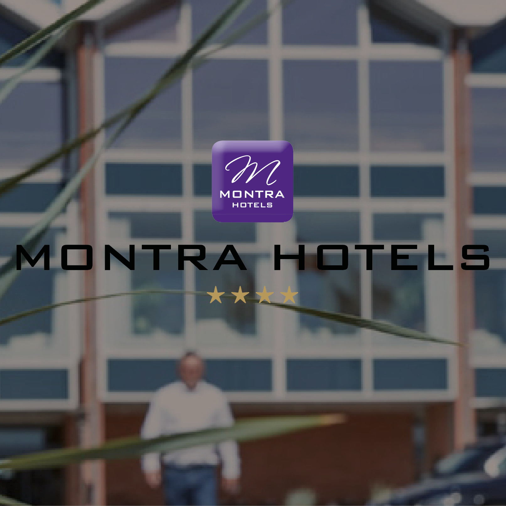 Montra Skaga partner logo