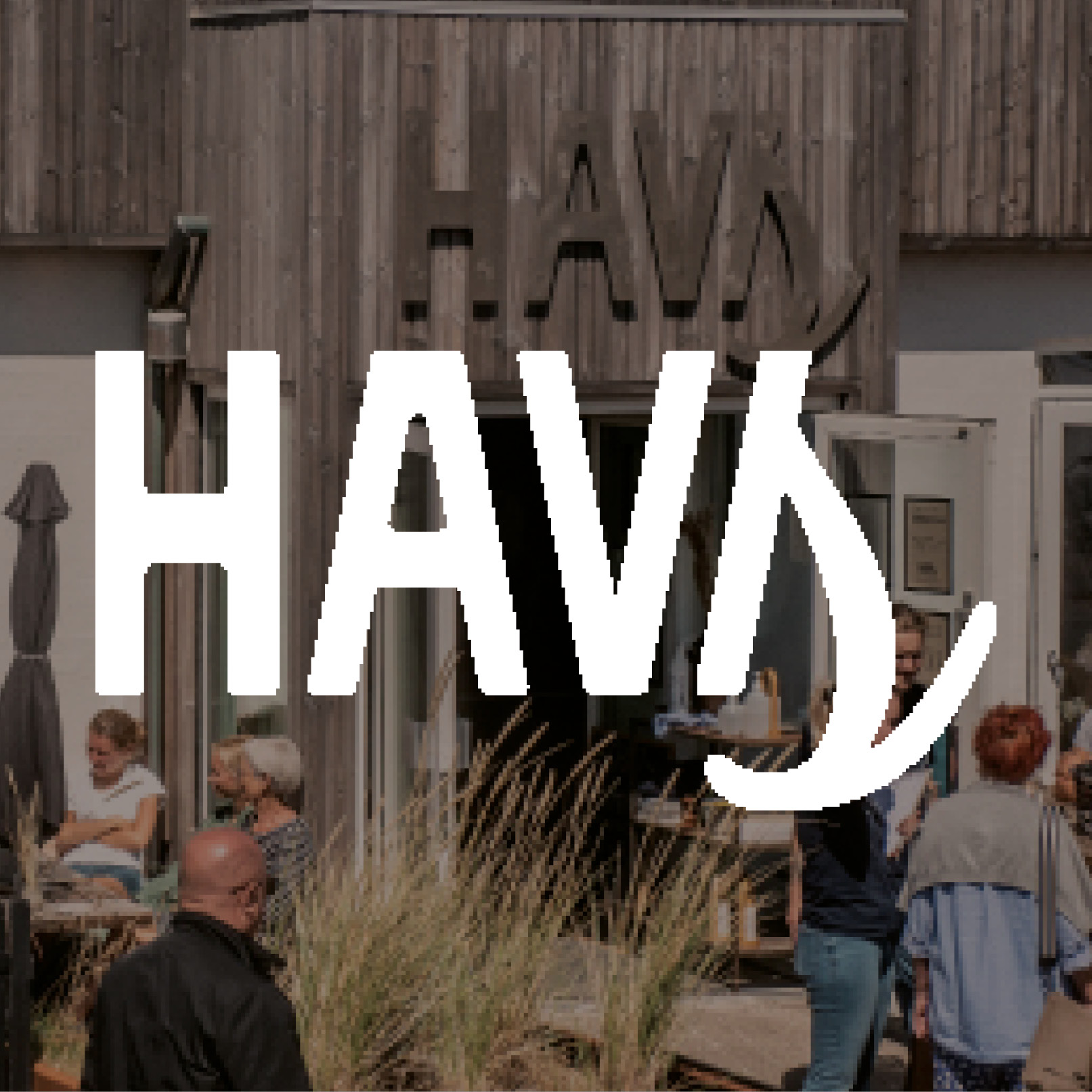 HAVS partner logo