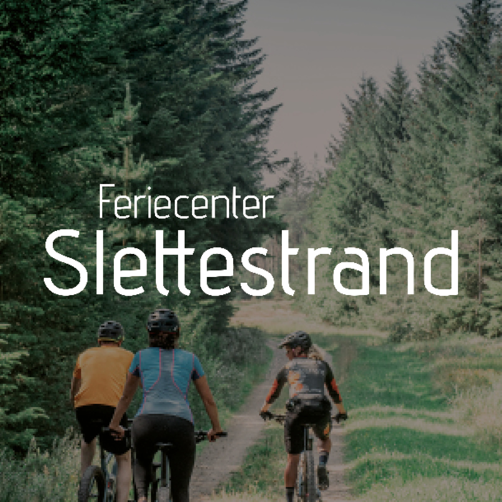 Feriecenter Slettestrand