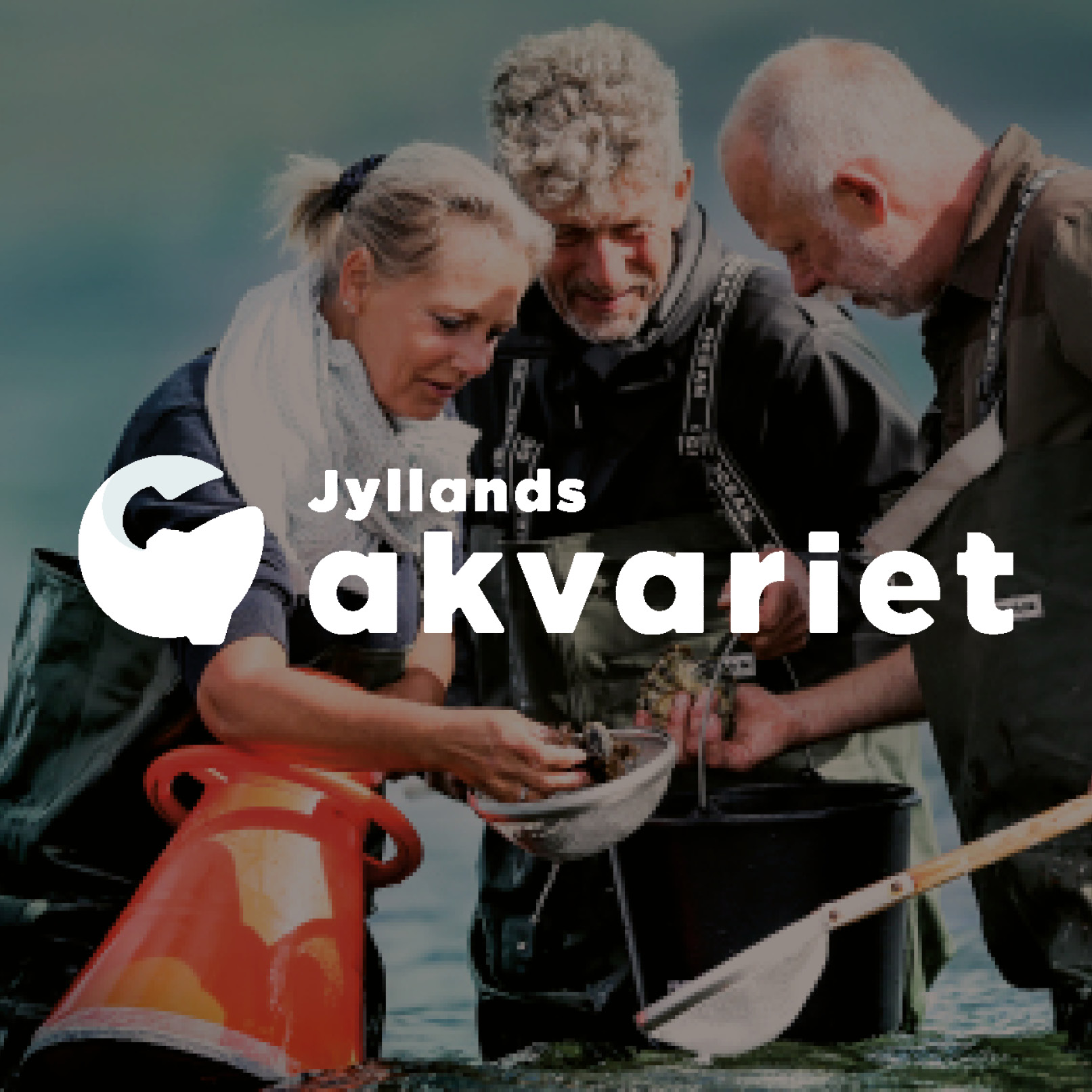 Jyllandsakvariet partner logo