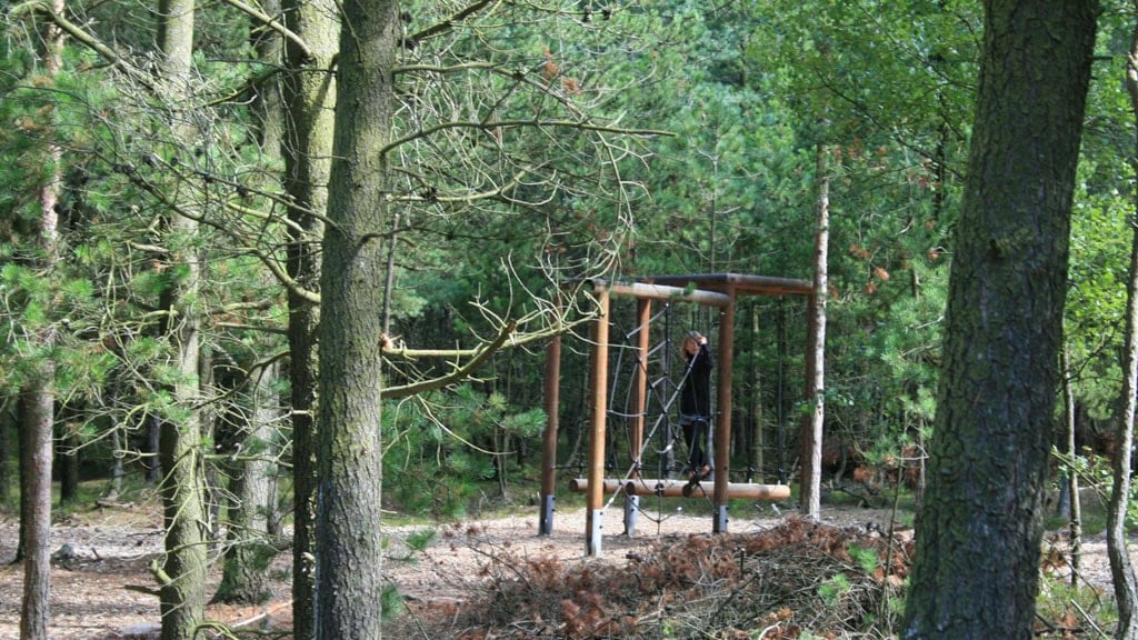 Tversted Klitplantage