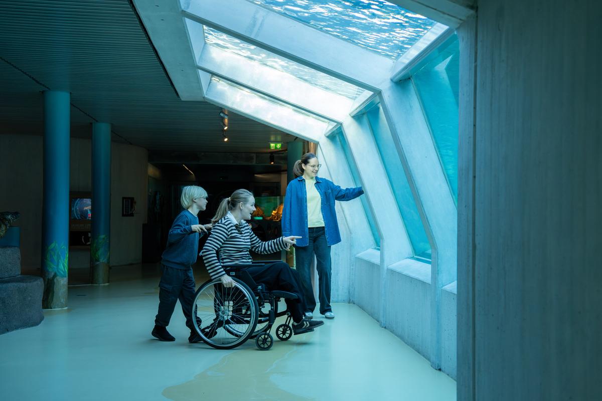 Nordsøen Handicapvenlighed