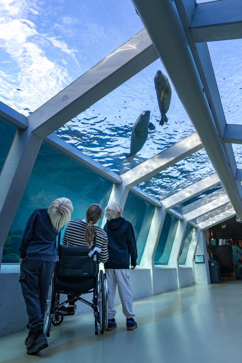 Nordsøen Oceanarium handicapvenlighed 1