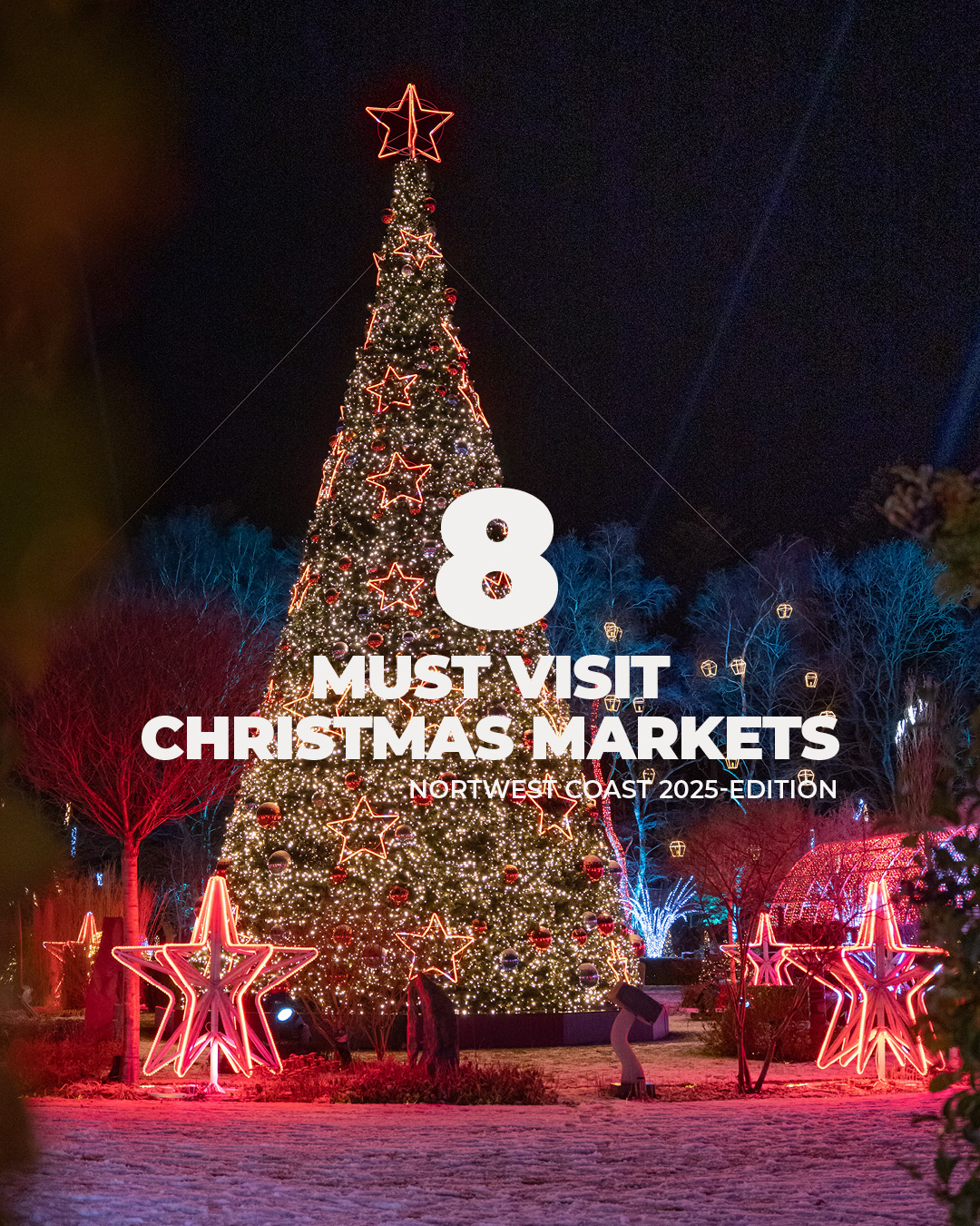 8 must visit christmas markets-instagram post