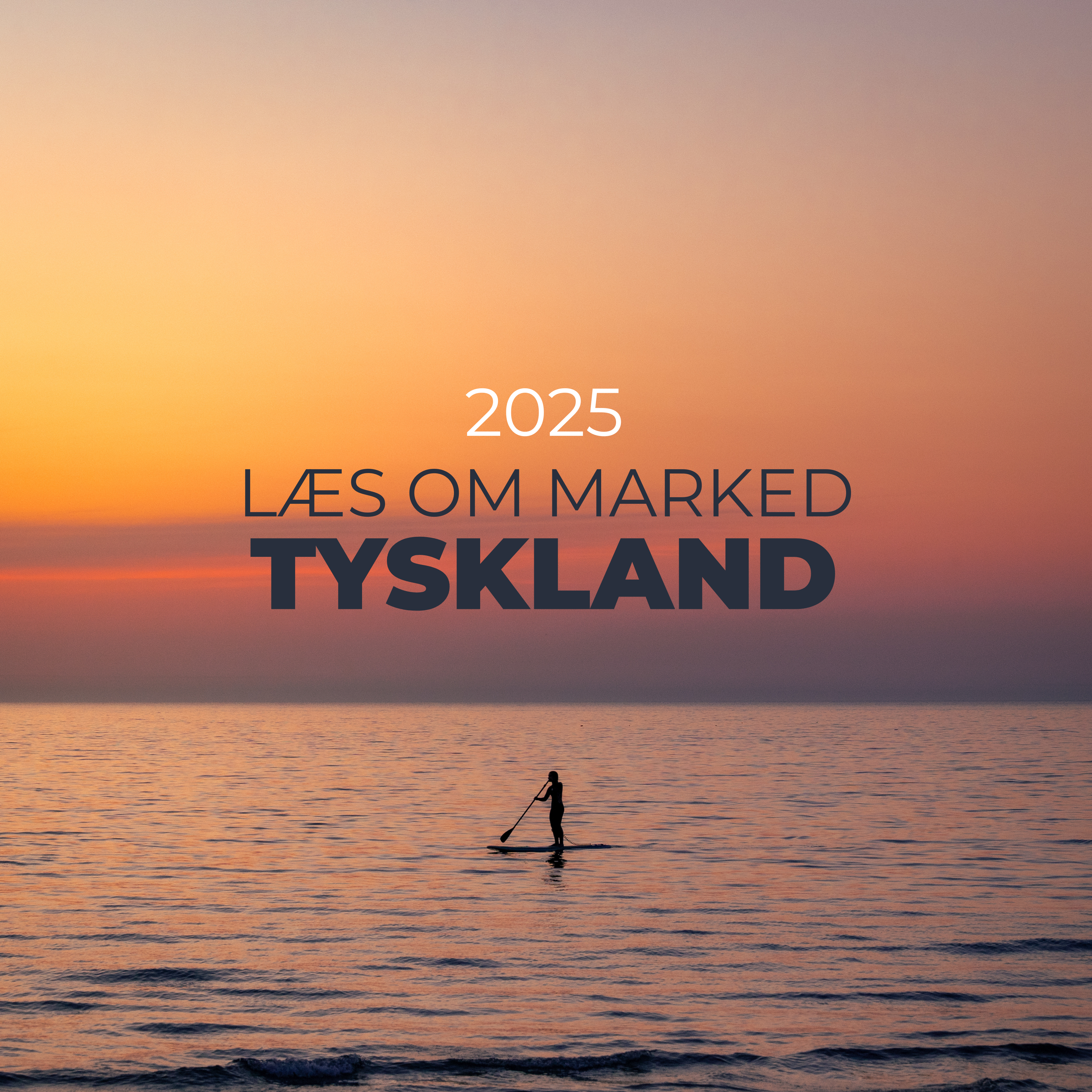 Læs om marked tyskland_2025
