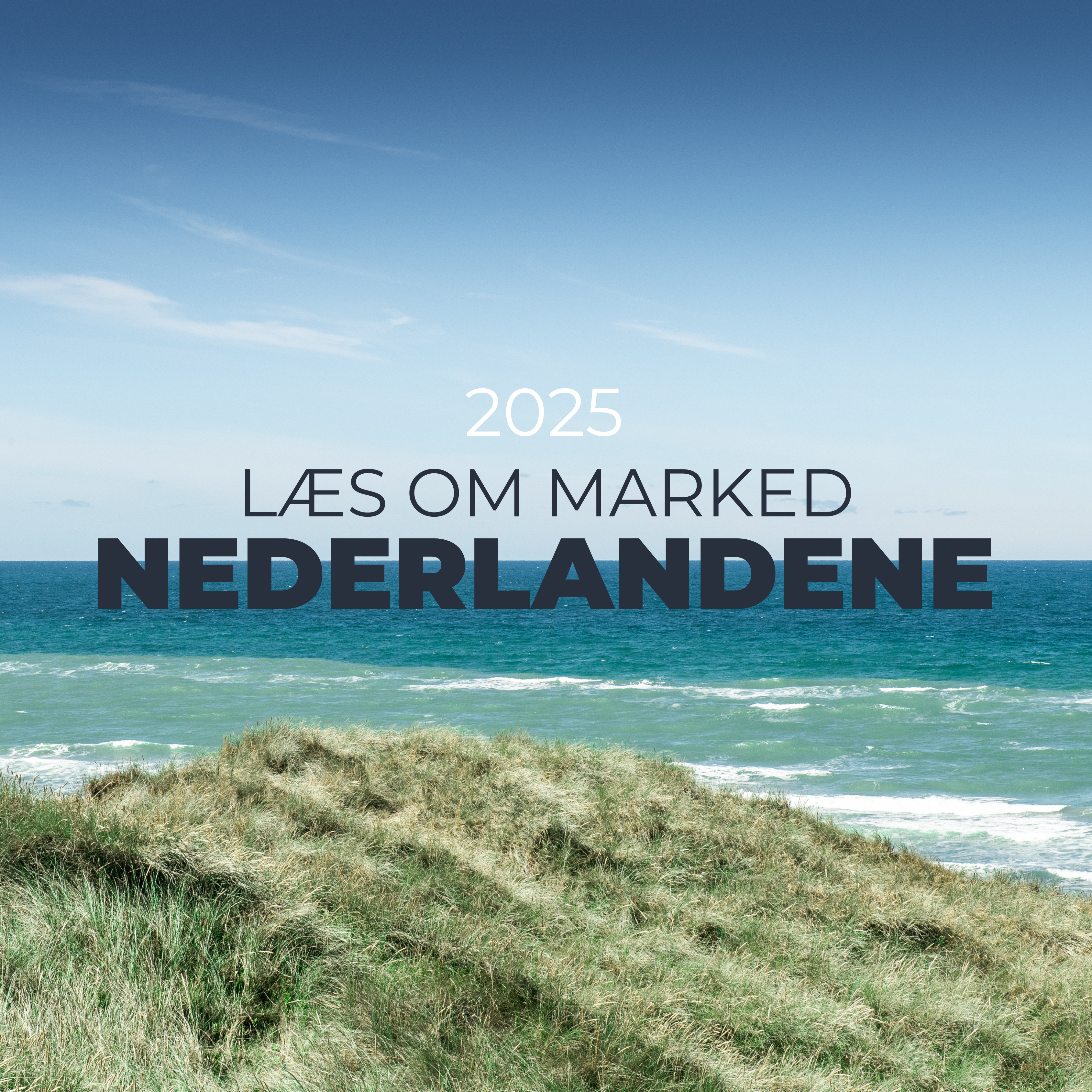 Læs om marked nederlandene_2025