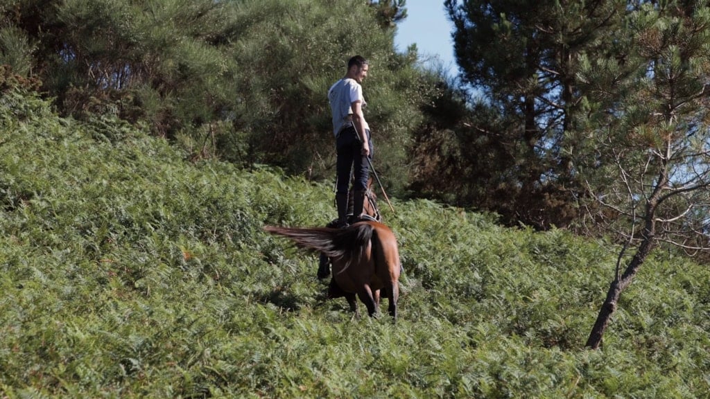 Out of Frame fernisering