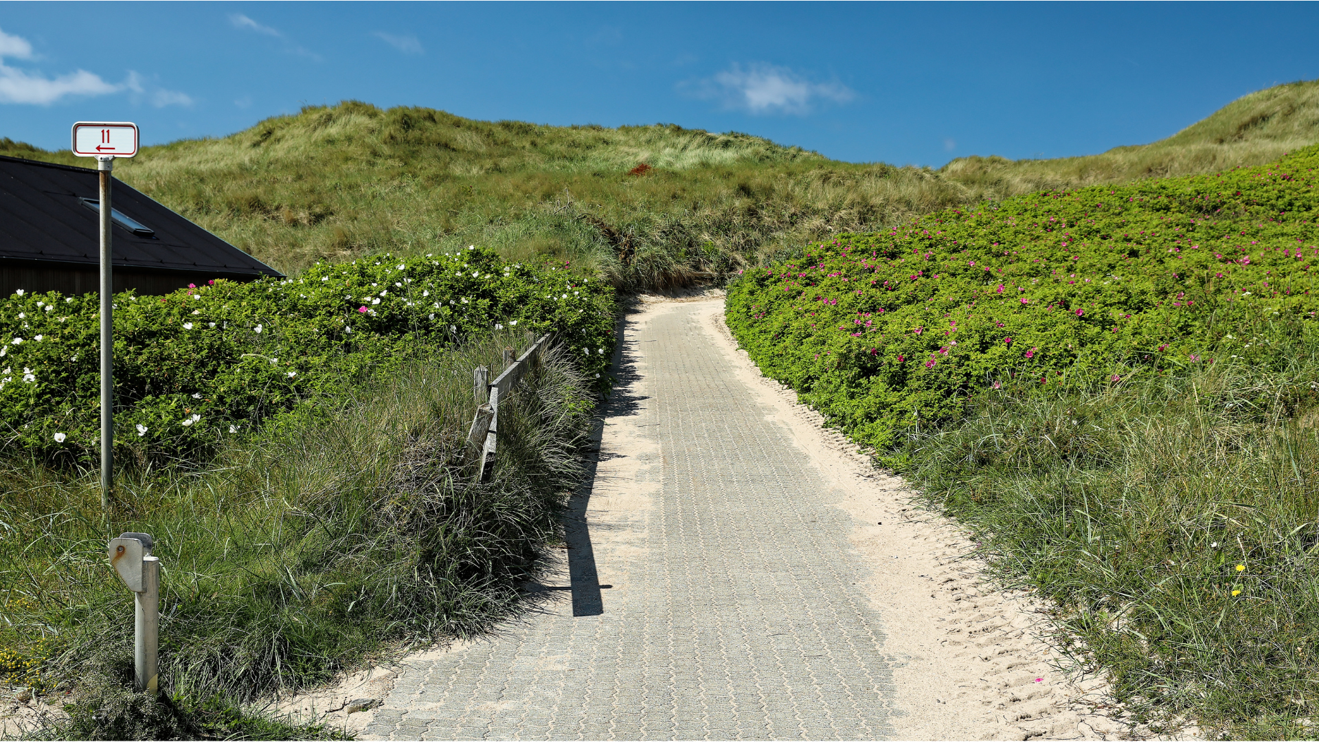 Vrist sti til vandet