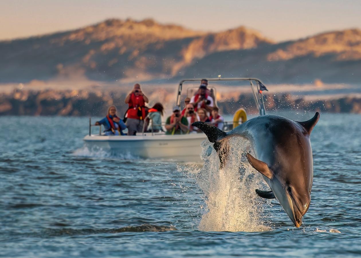 Skipper JyllandsAkvariet